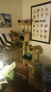 A Tower Full of Cats
