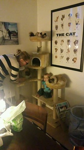 A Tower Full of Cats